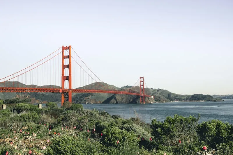 Celulares gratis del gobierno en California