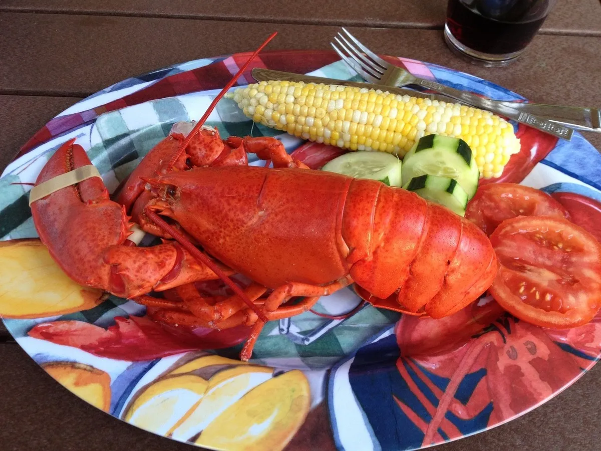 Can You Buy Lobster With EBT? What SNAP Really Allows for Seafood Lovers