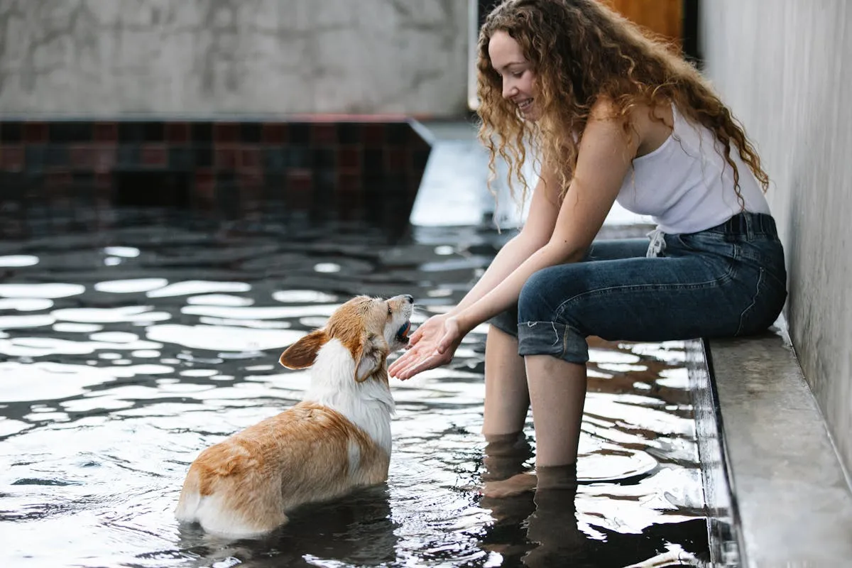 Can You Buy Pet Food with EBT (Food Stamps)?