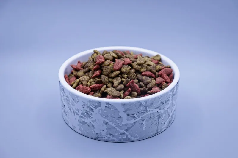 can you buy pet food with ebt snap