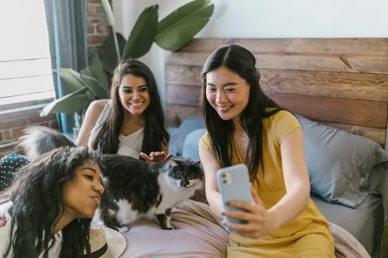 Can You Buy Pet Food with EBT (Food Stamps)? — figure 4