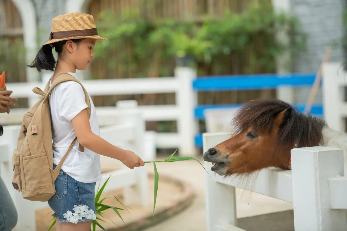 Zoo Discounts with EBT Card – How to Enjoy Affordable Family Trips