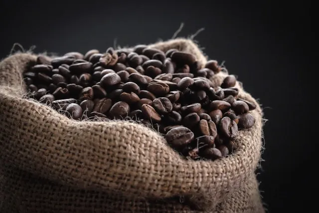 Does EBT Cover Coffee? What You Can (and Can’t) Buy with SNAP
