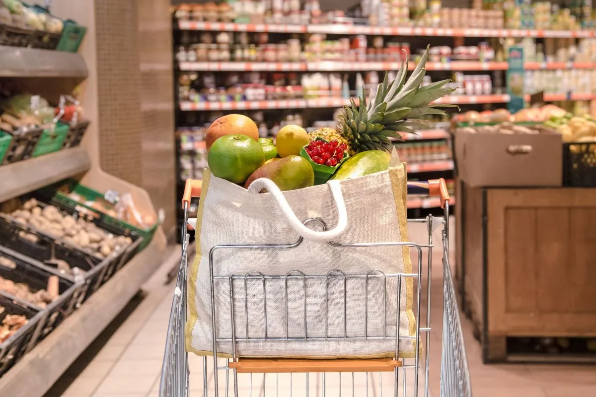 Does Lidl Accept EBT Payments? What You Need to Know Before You Shop