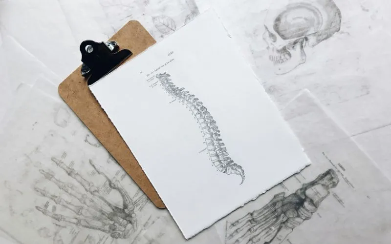 does-medicaid-cover-chiropractic-chiropractic-services