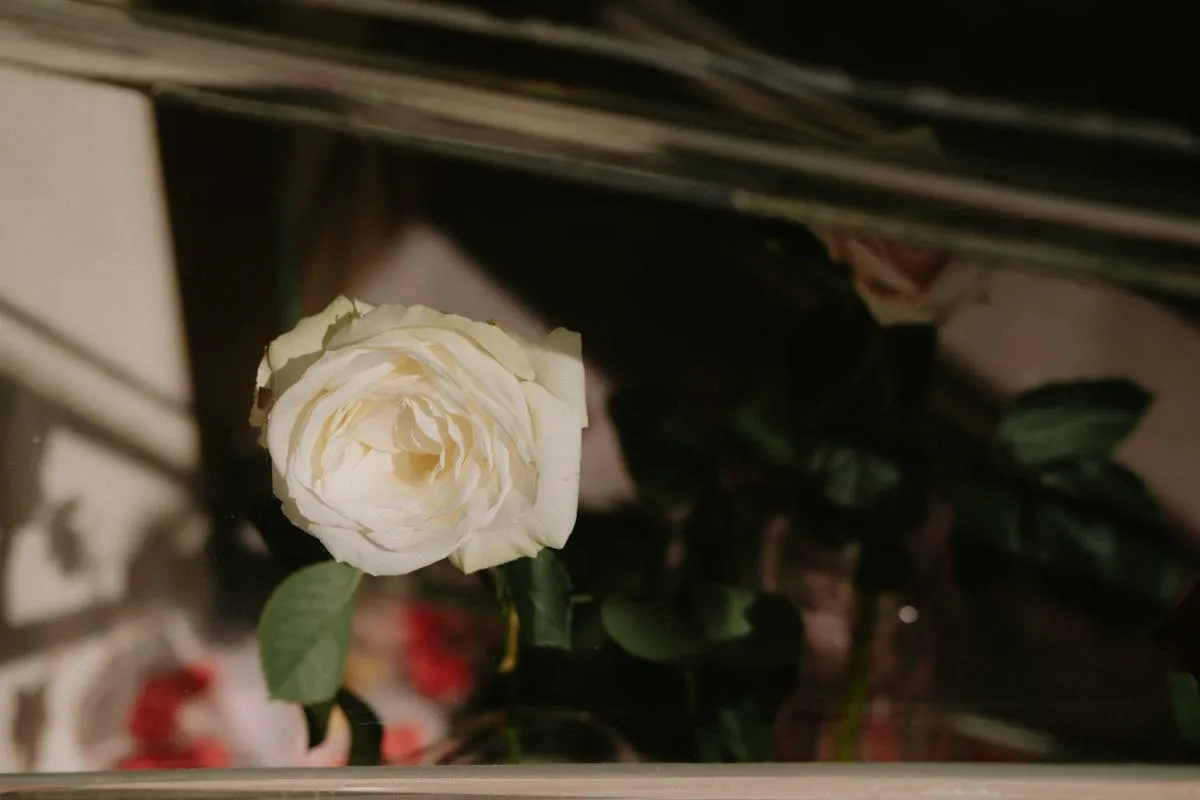2026 Clear Guide: Does Medicaid Cover Funeral Expenses?