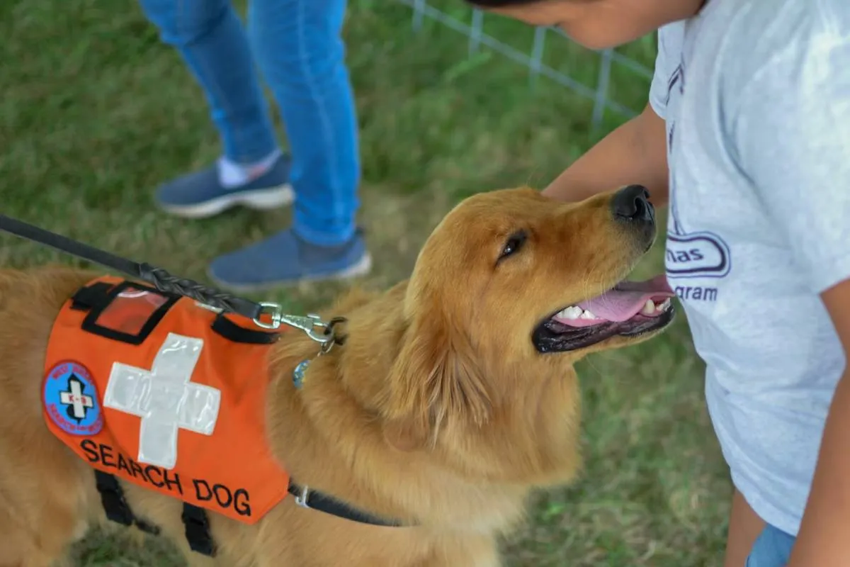 Does Medicaid Cover Service Dogs When They’re Medically Necessary? Here’s What Actually Happens 2026