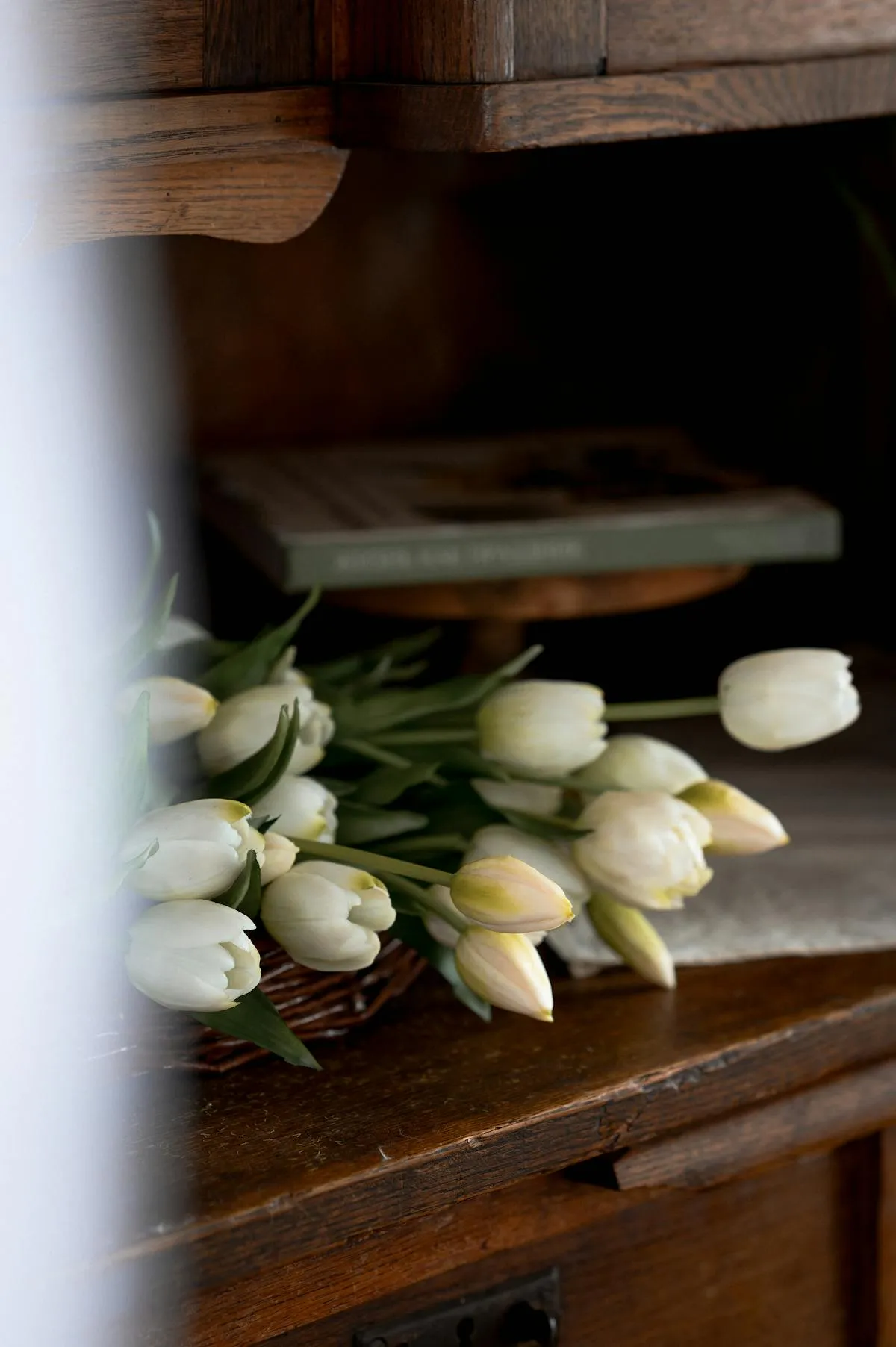 Does Medicaid Pay for Cremation in 2026?