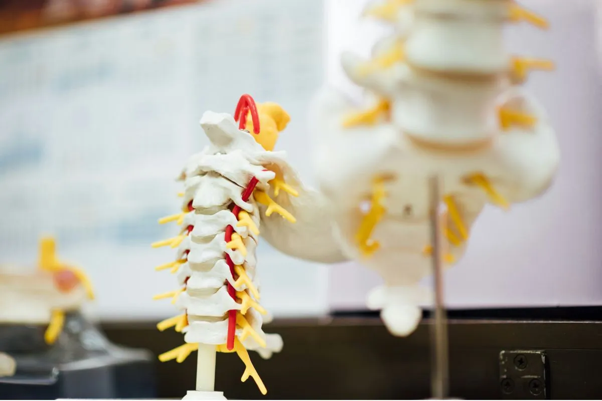 Does Medicare Cover Chiropractic? The Subluxation Rule