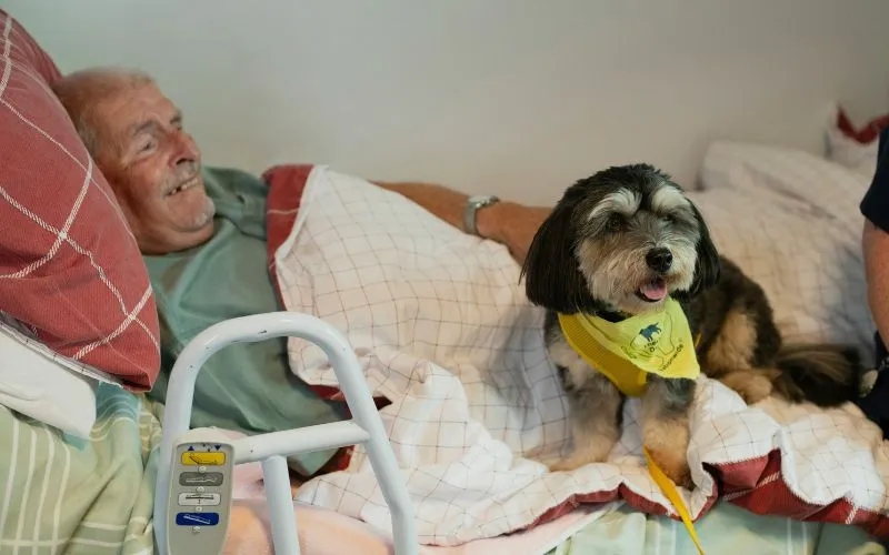 does-medicare-cover-palliative-care-what-covers