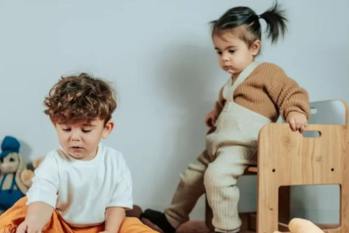 EBT Eligible Toys What You Can Buy with SNAP