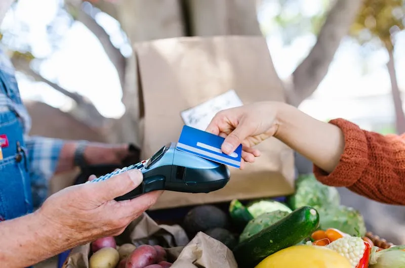 ebt snap card