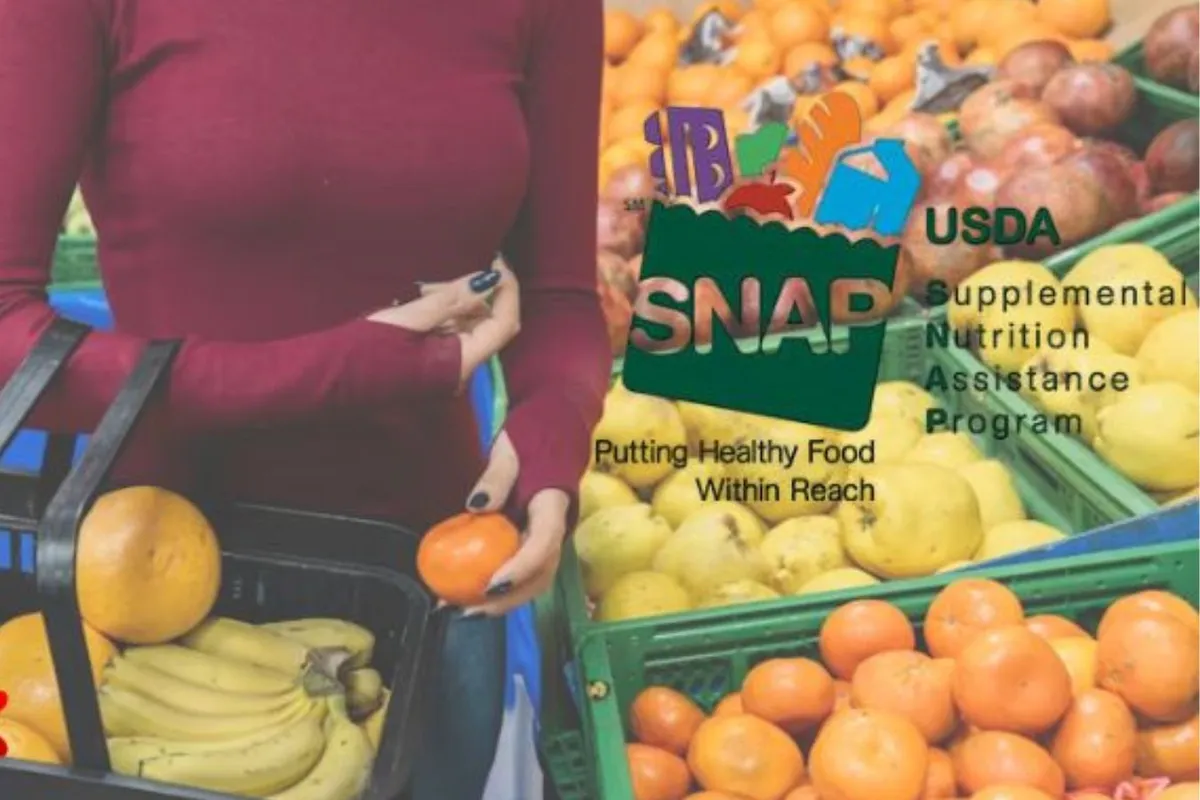 EBT PA Updates 2025: Check Balance, Reload, and Use Smartly