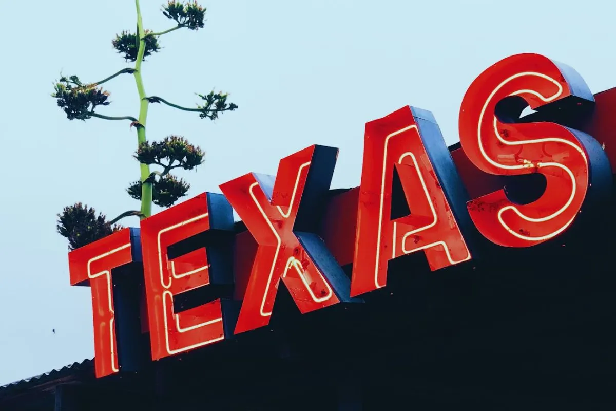EBT Texas Guide: Essential Tips to Apply, Use & Check Benefits