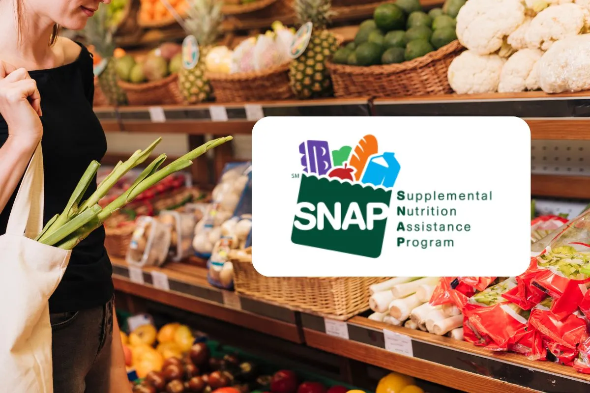EBT vs Food Stamps: Is There a Difference? (A 2025 Guide)