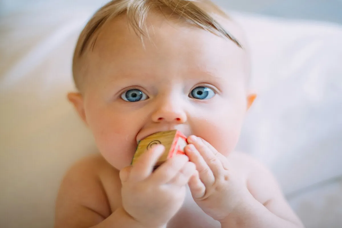 Free Baby Stuff Through Medicaid: Full Guide to Programs, Eligibility, and How to Apply