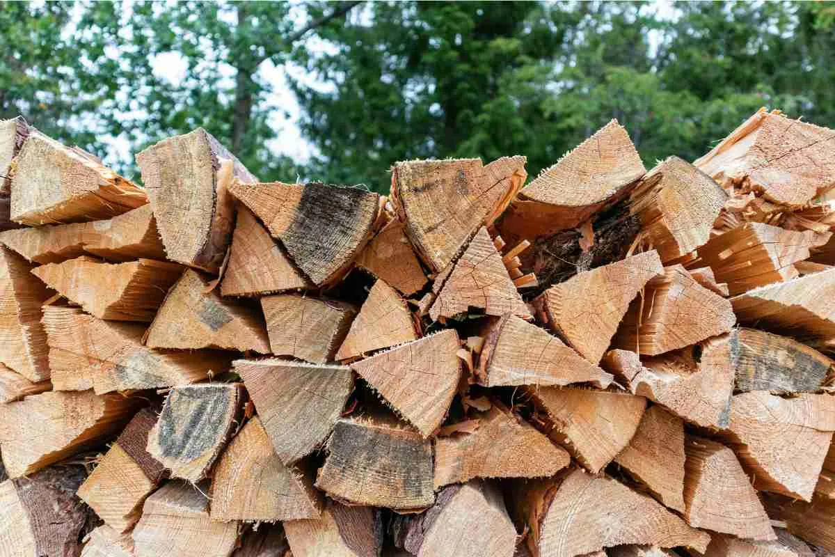 Free Firewood Near Me: How to Find Locally in 2026
