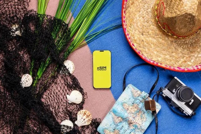 Free Government eSim For Android: What It Is And How To Get One — figure 2