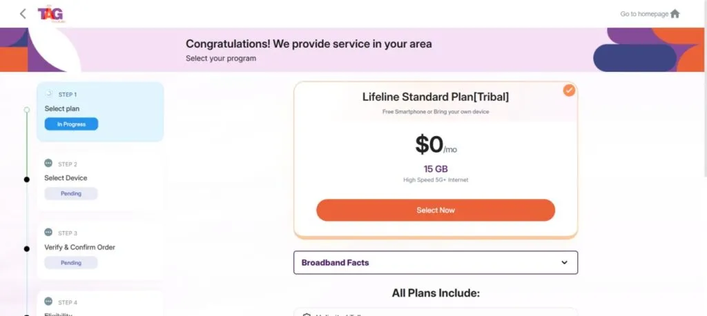 free government phone in new york plan
