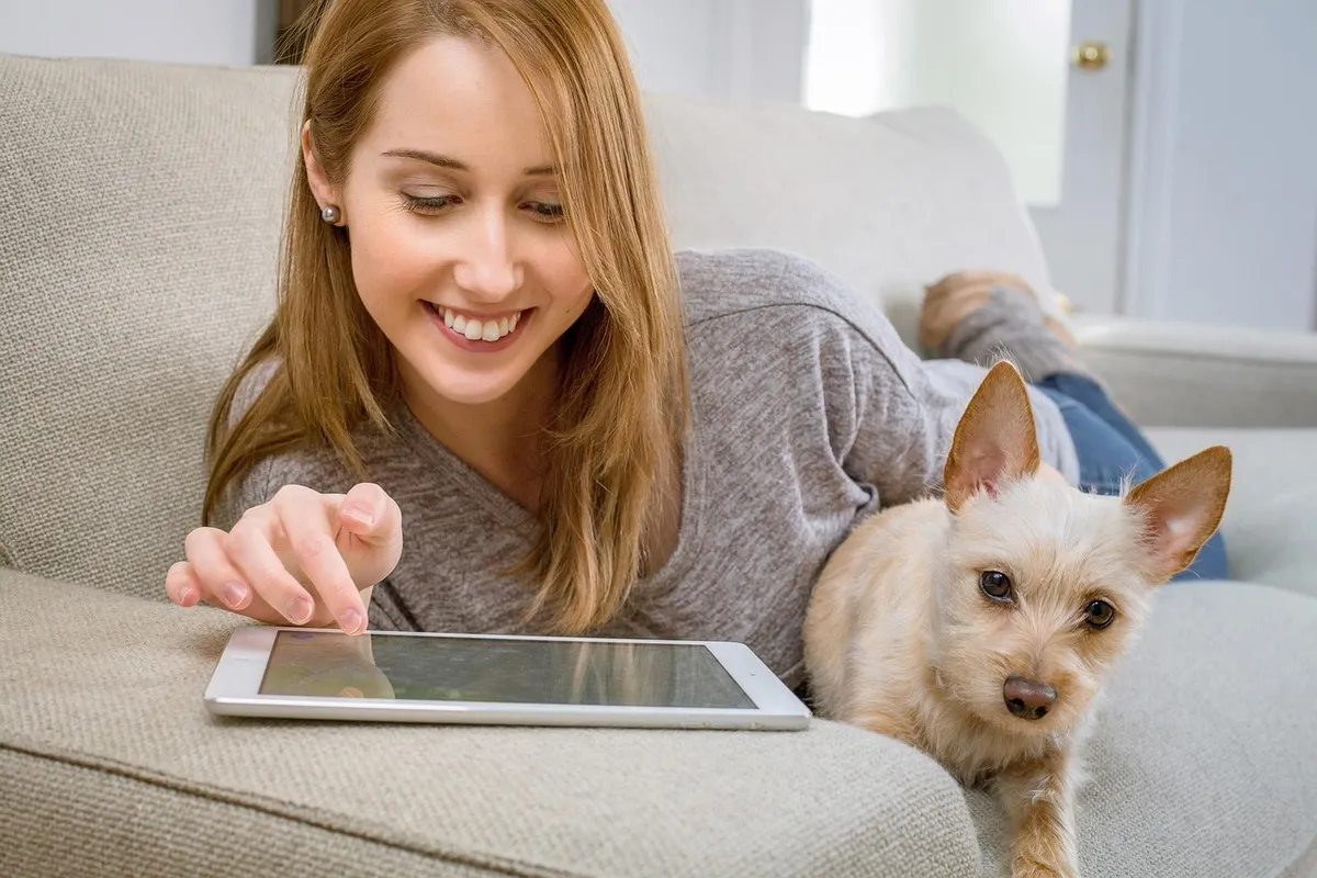What Is The Best Free Government Tablet South Carolina?