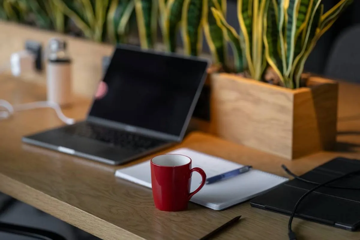 Free Laptop Eligibility: Who Qualifies, How Lifeline Works, and How to Apply