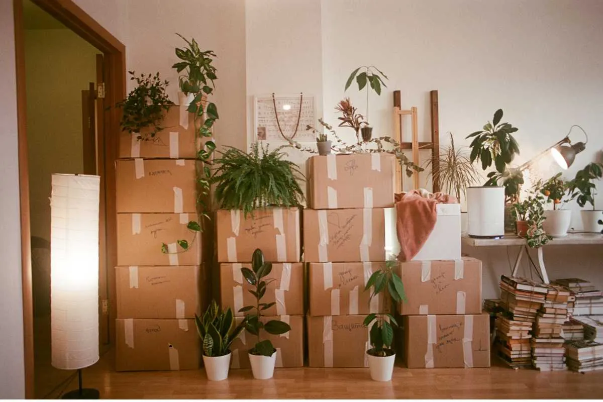 How to Get Free Moving Boxes Near You: A Complete Guide