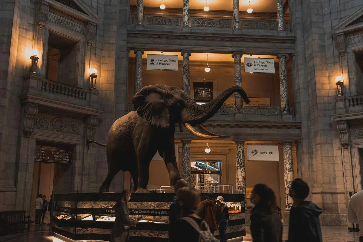 Top Free Museums in DC: Explore World-Class Art for $0