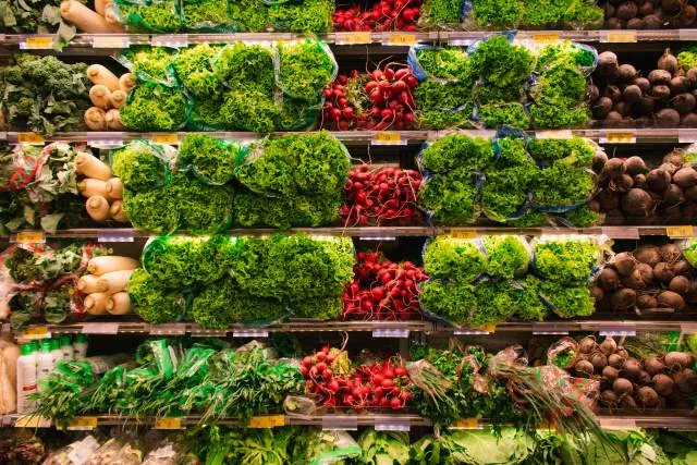 Free Stuff with Food Stamps: 10 Surprising Perks You Didn’t Know About