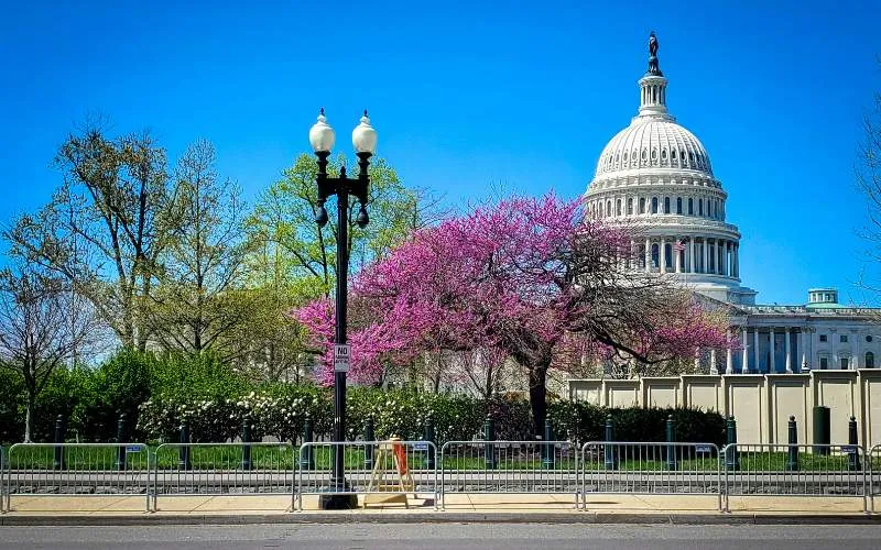 free-things-to-do-in-dc-1