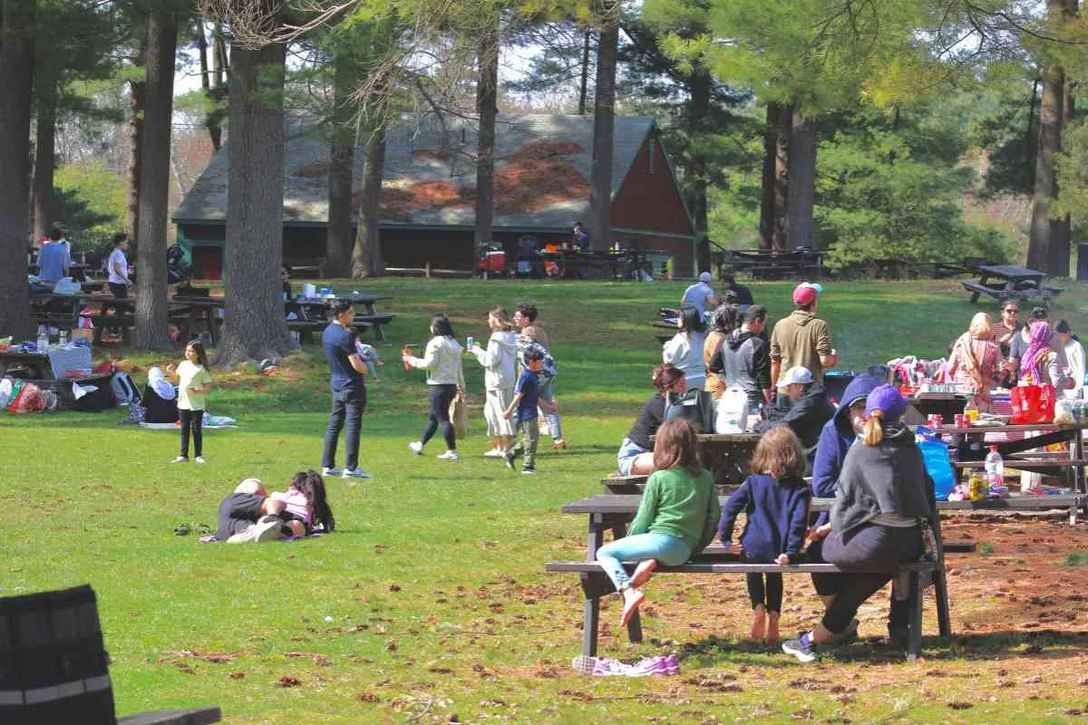 Best Free Things to Do Near Me This Weekend: Check Now