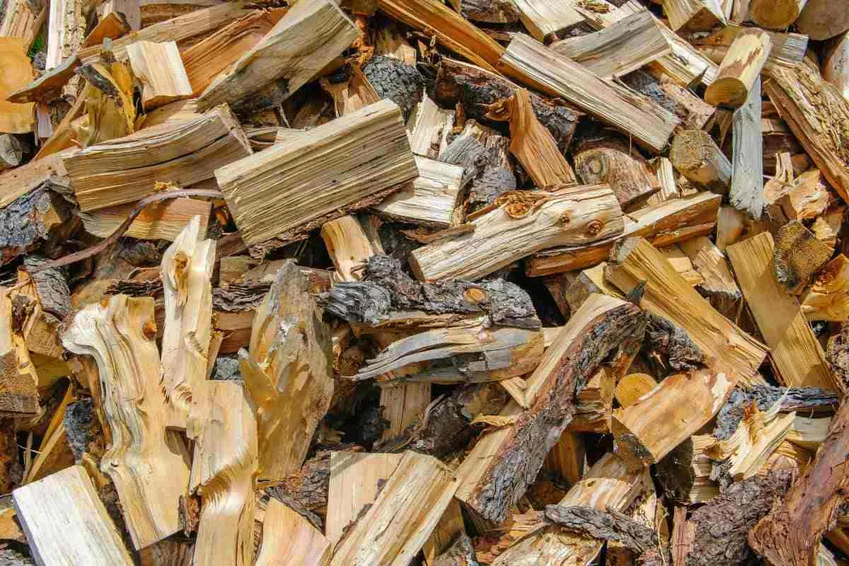 Free Wood Chips Near Me (How to Find & Use Them Smartly)