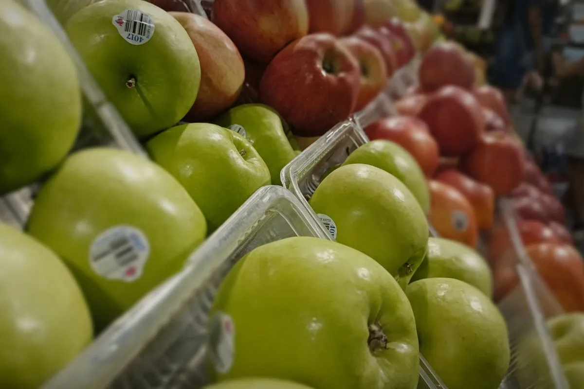 Georgia EBT Guide 2026: Deposits, Food Rules & SNAP Questions