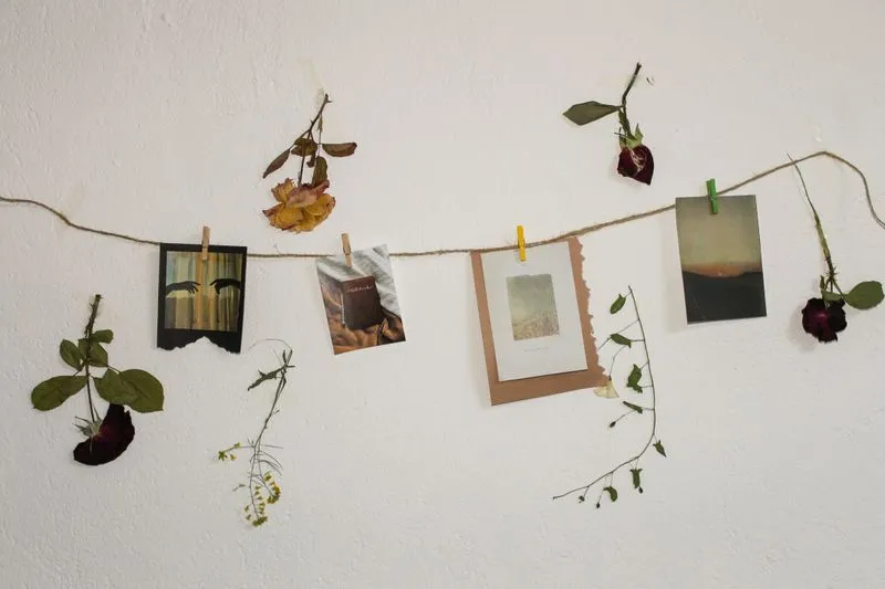How to Dry Flowers: Brilliant Techniques to Keep Flowers Beautiful Longer — figure 2