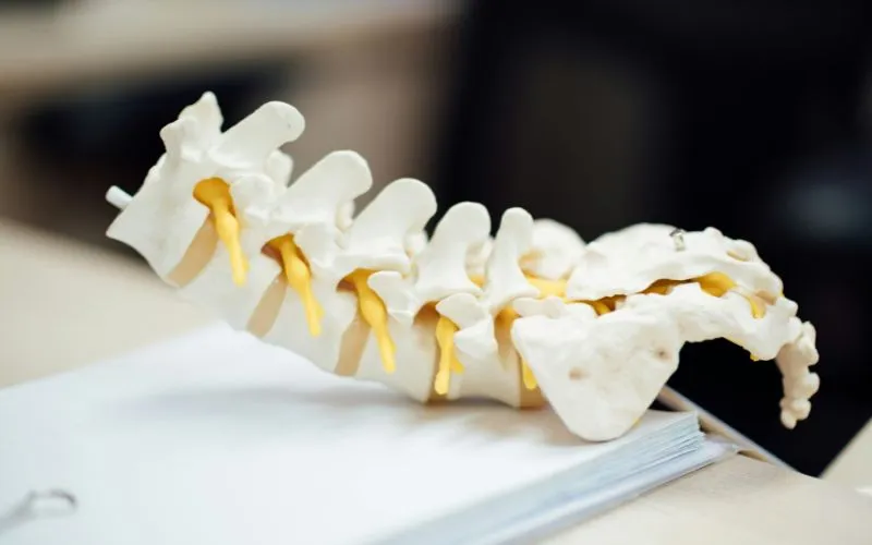 how-many-chiropractic-visits-does-medicare-cover-in-a-year-chiropractic-care