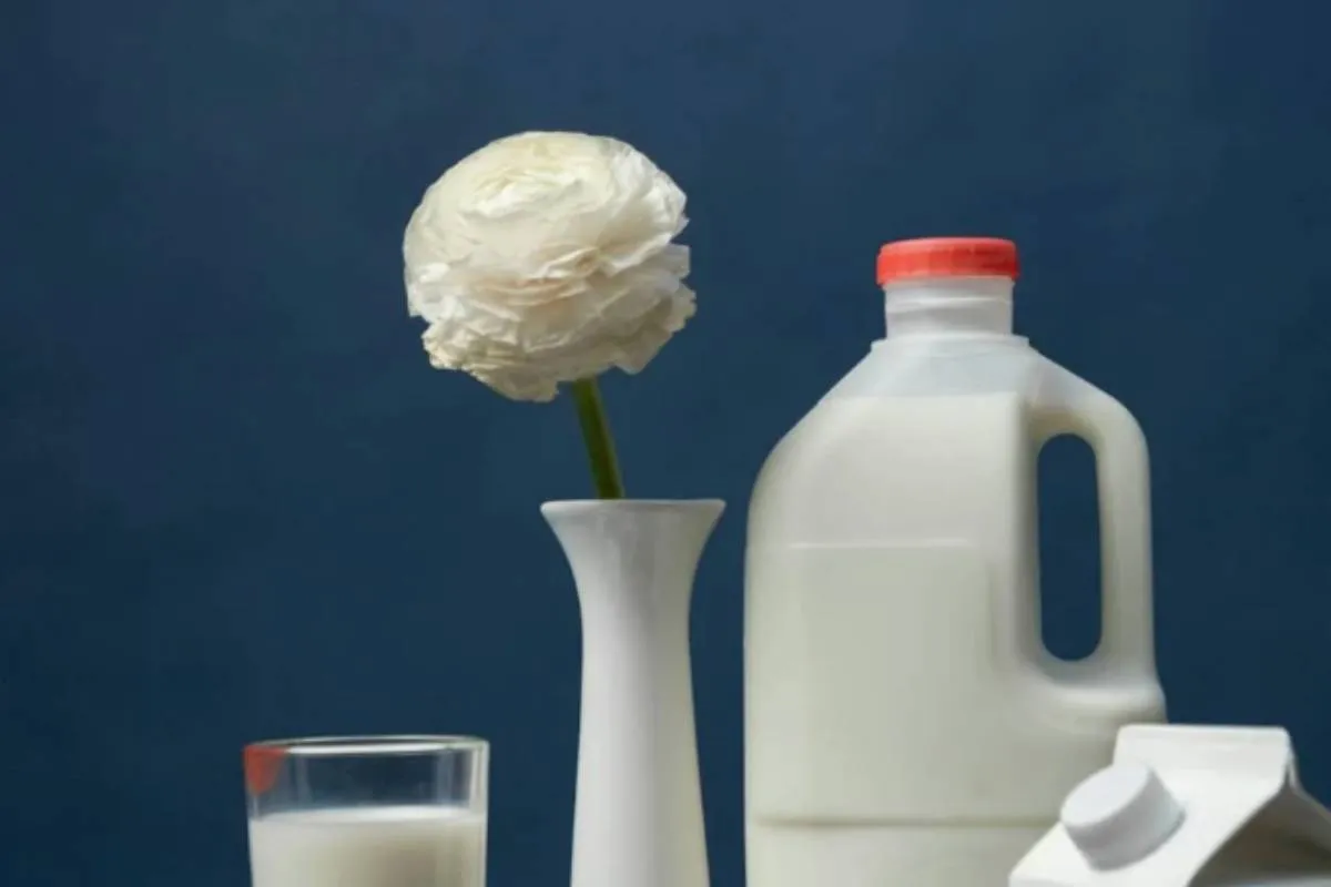 How Many Liters in a Half Gallon? Exact Answer and Quick Guide for 2026