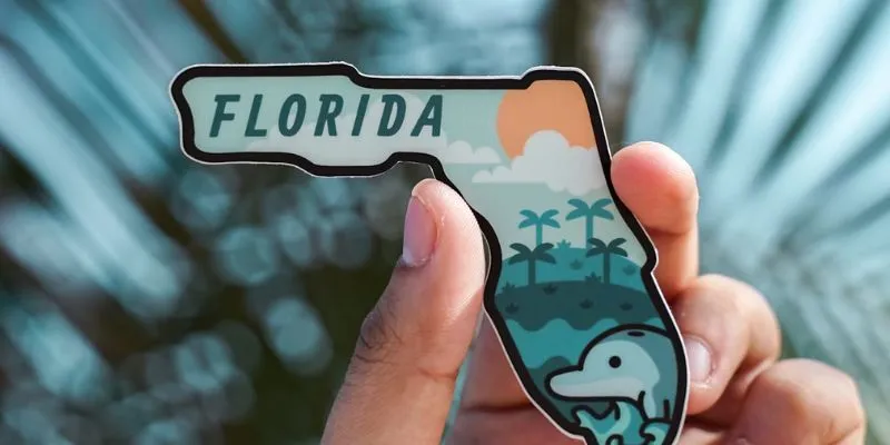 How To Apply For EBT In Florida And Get Free Phone Service
