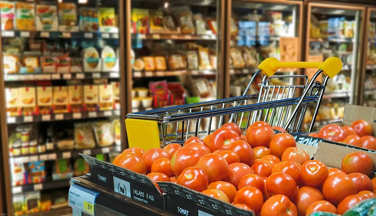 How to Apply for SNAP in California (and Get a Free Phone)