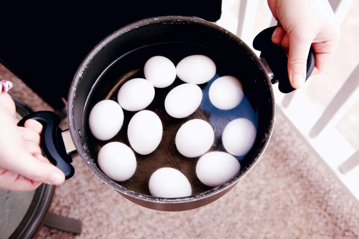 How to Boil an Egg? Quick Tips for Perfect Eggs Every Time