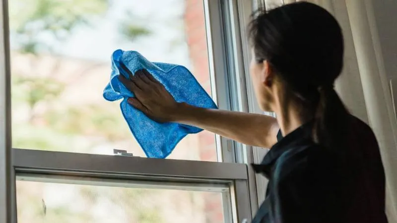 how-to-clean-window-screens-1