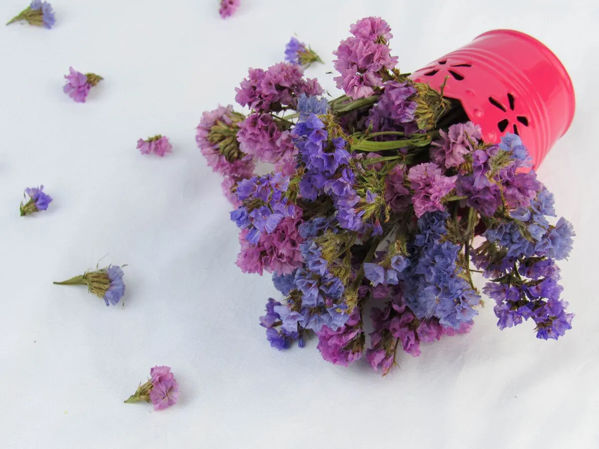 How to Dry Flowers: Brilliant Techniques to Keep Flowers Beautiful Longer