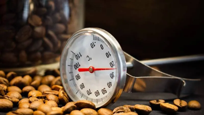 how-to-use-a-meat-thermometer-1