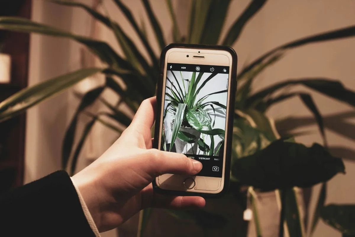 Is iPhone 6s SIM Free? Everything You Need to Check