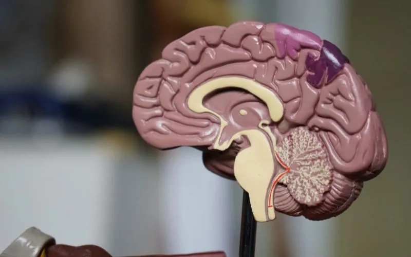 is-epilepsy-a-disability-1