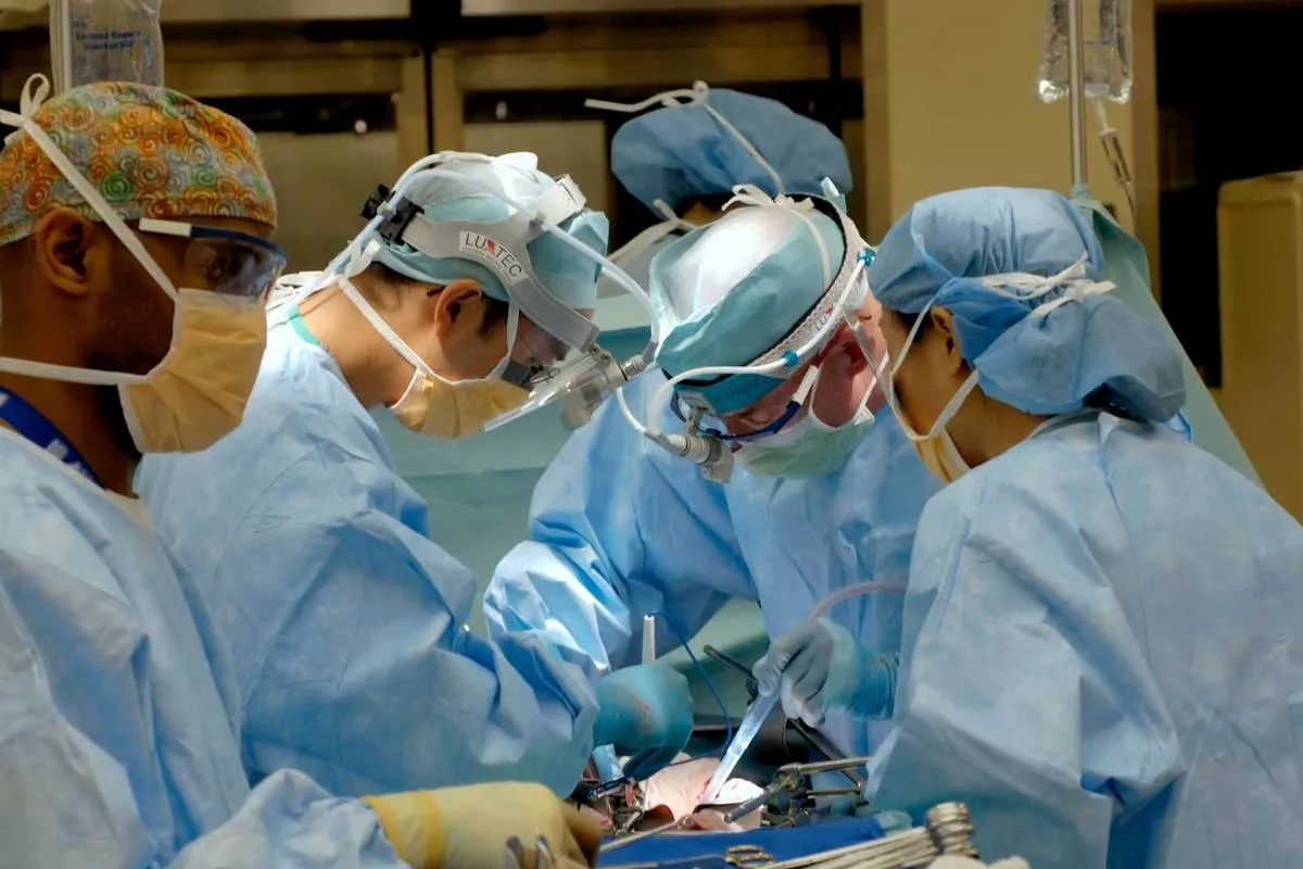 Is MassHealth Medicaid? A Clear Guide for Massachusetts Residents 2026