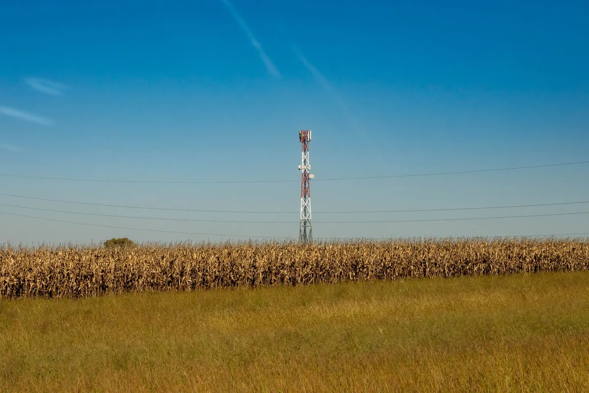 A cellular tower rises behind a dried cornfield under a clear blue sky, with power lines crossing in front of it