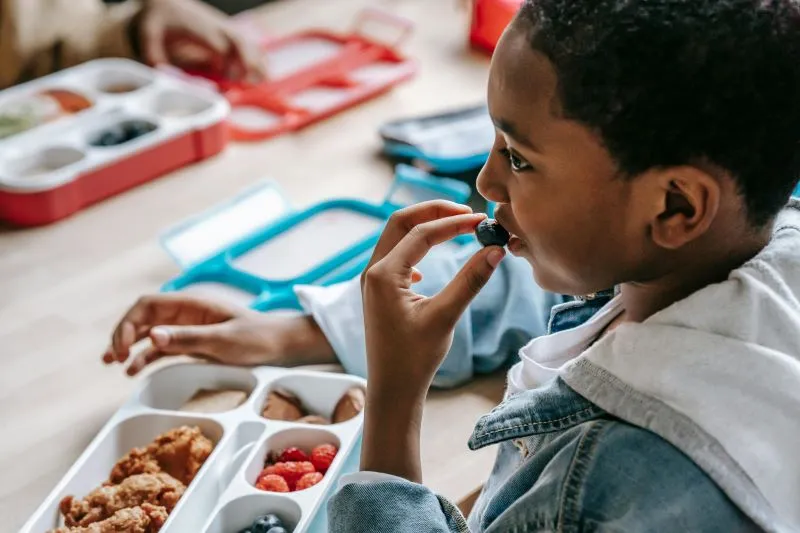 national school lunch program 2