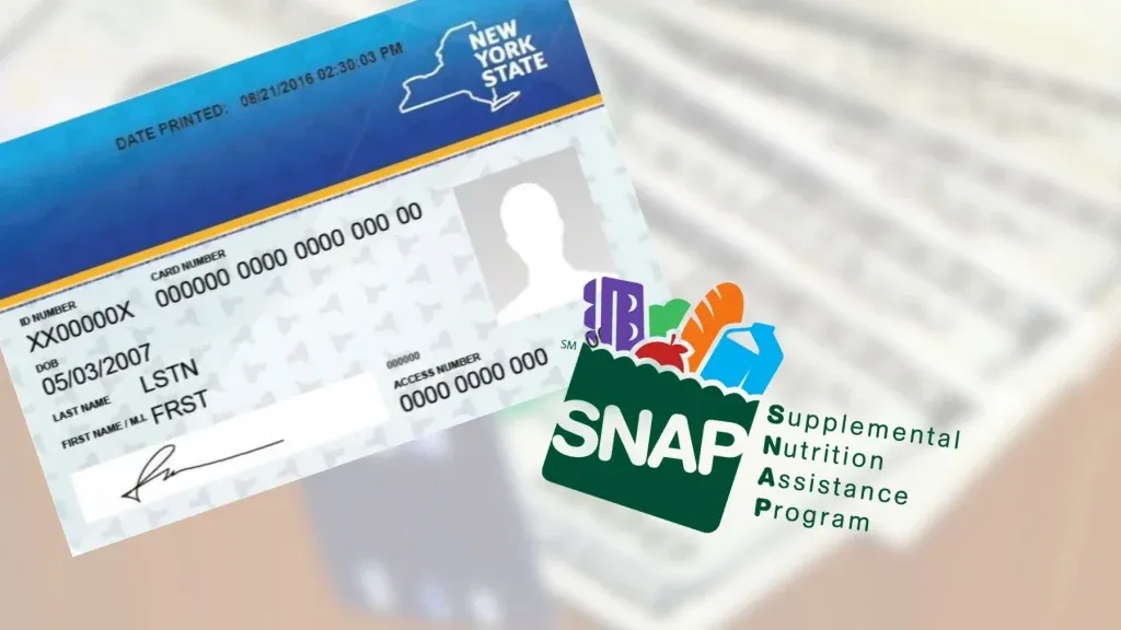 DSNAP Application & How To Maximize Your Benefits With Lifeline — figure 2