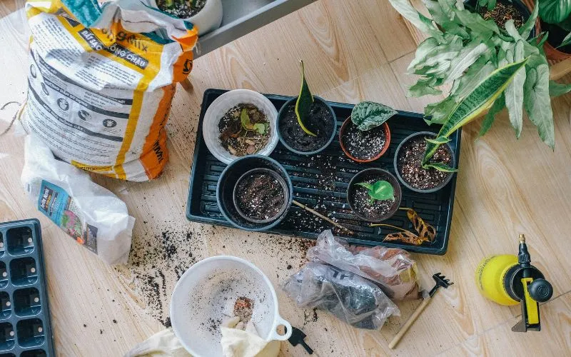 retirement-gift-for-dad-gardening-kit