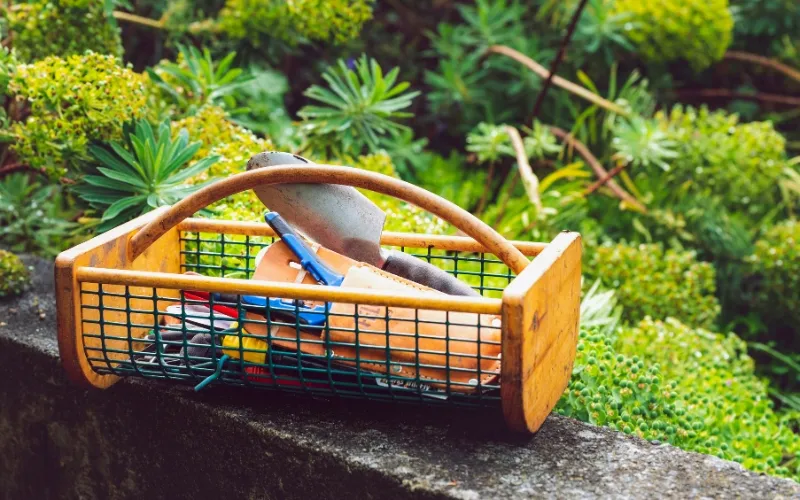 retirement-gift-for-mom-gardening-kit