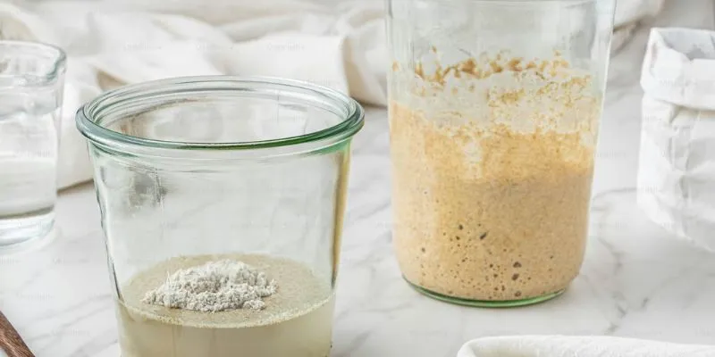 SNAP rules on protein shakes (Image By Unsplash) Nguồn: https://unsplash.com/fr/photos/quelques-bocaux-remplis-de-nourriture-sur-le-dessus-dune-table-gOT4RQWTQrU